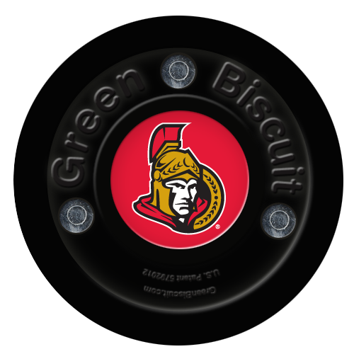 Ottawa Senator Team