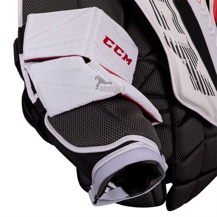 Ccmeflexe5.9 goalkeeper's chest protection AXIS1.9 ice hockey goalkeeper breast protection competition race