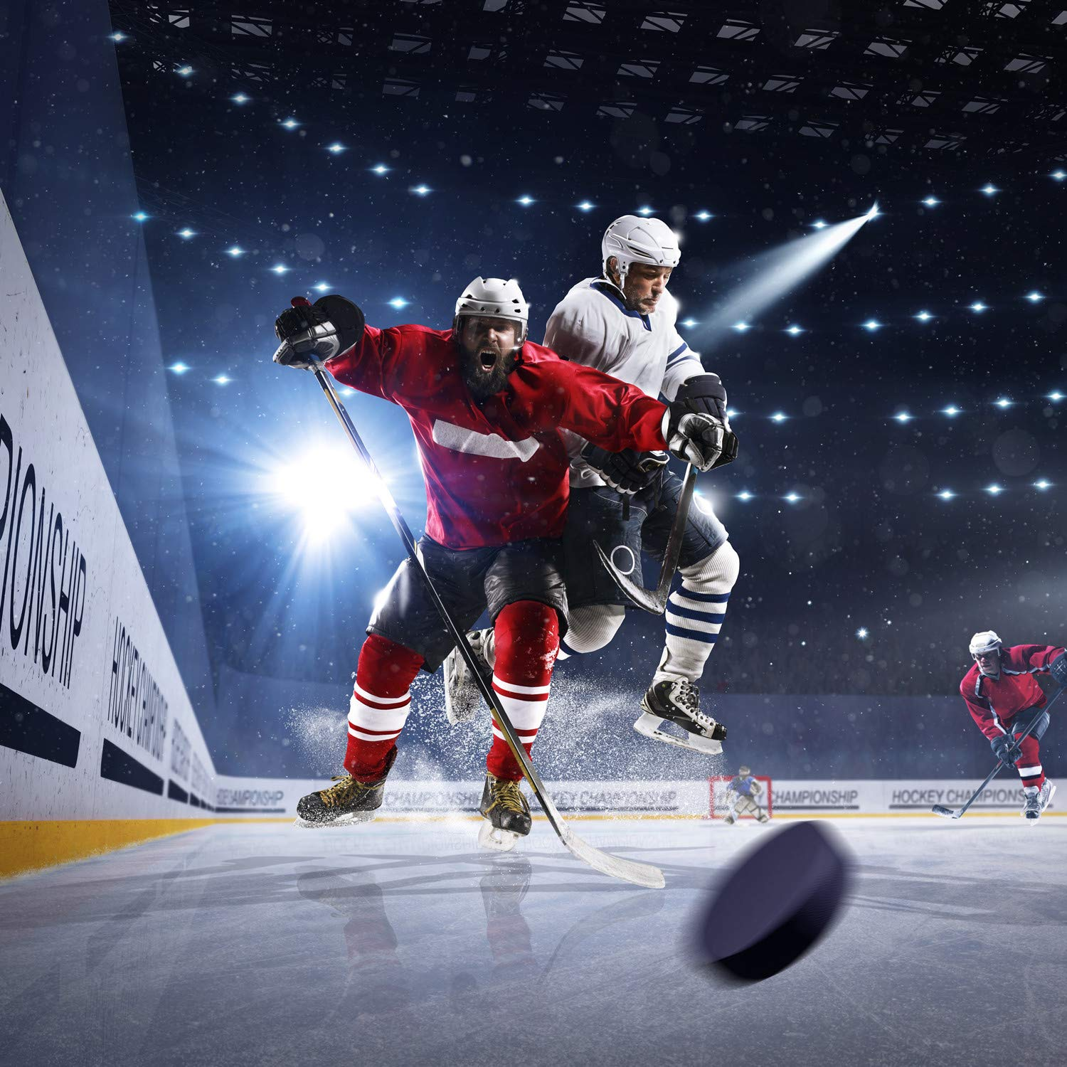 Ice Hockey Pucks, Official Regulation for Practicing and Classic Training, Diameter 3", Thickness 1", 6oz