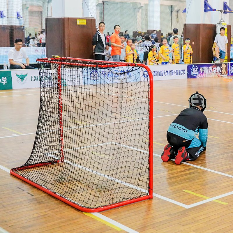 Floorball Goal for Outdoor Sports, Alloy Steel with Nylon Net, Lightweight & Portable, Easy Assembly with Sleeve Netting
