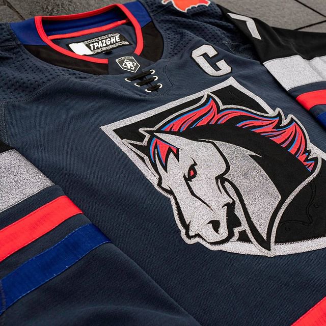 BETHERIVAL funny oem european hockey jerseys design