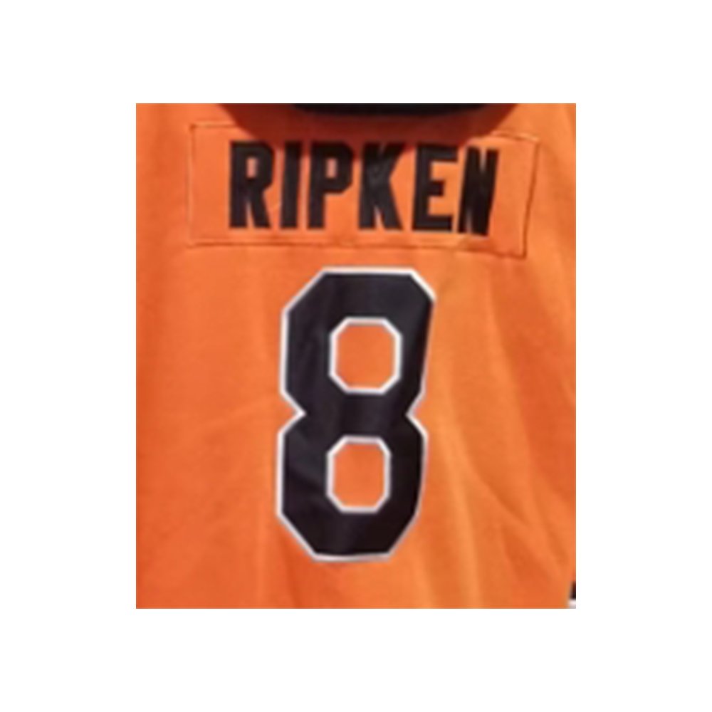 2023 New Stitched American Teams Hockey Jerseys Baltimore 8 Ripken