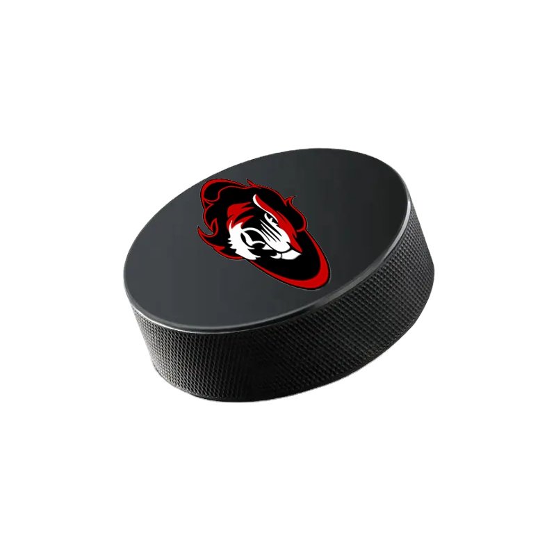 Wholesale High Quality Logo Printing Rubber Ice hockey puck