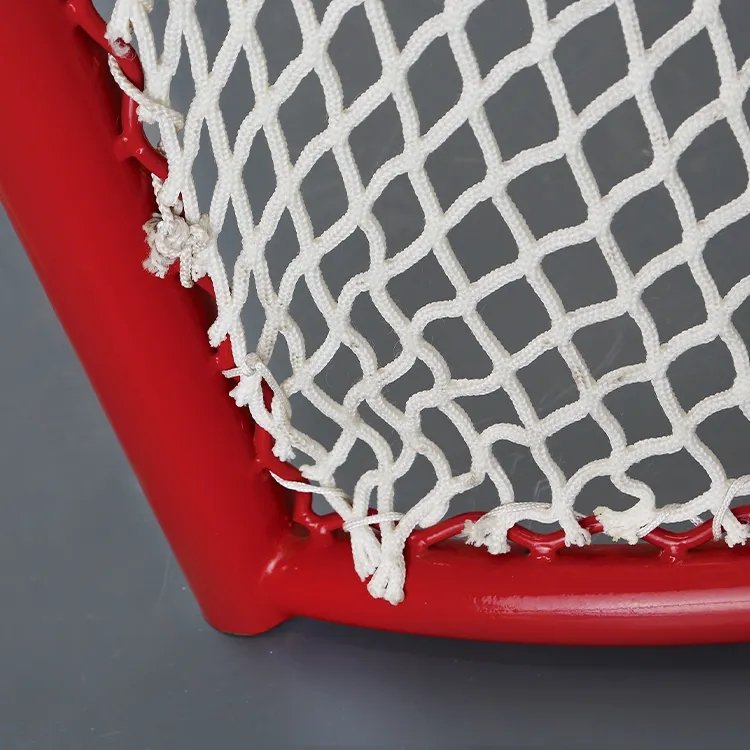 ODM/OEM High Quality Ice Hockey Practice Shootingtraining Sport Competition Rink hockey goal ice hockey goal
