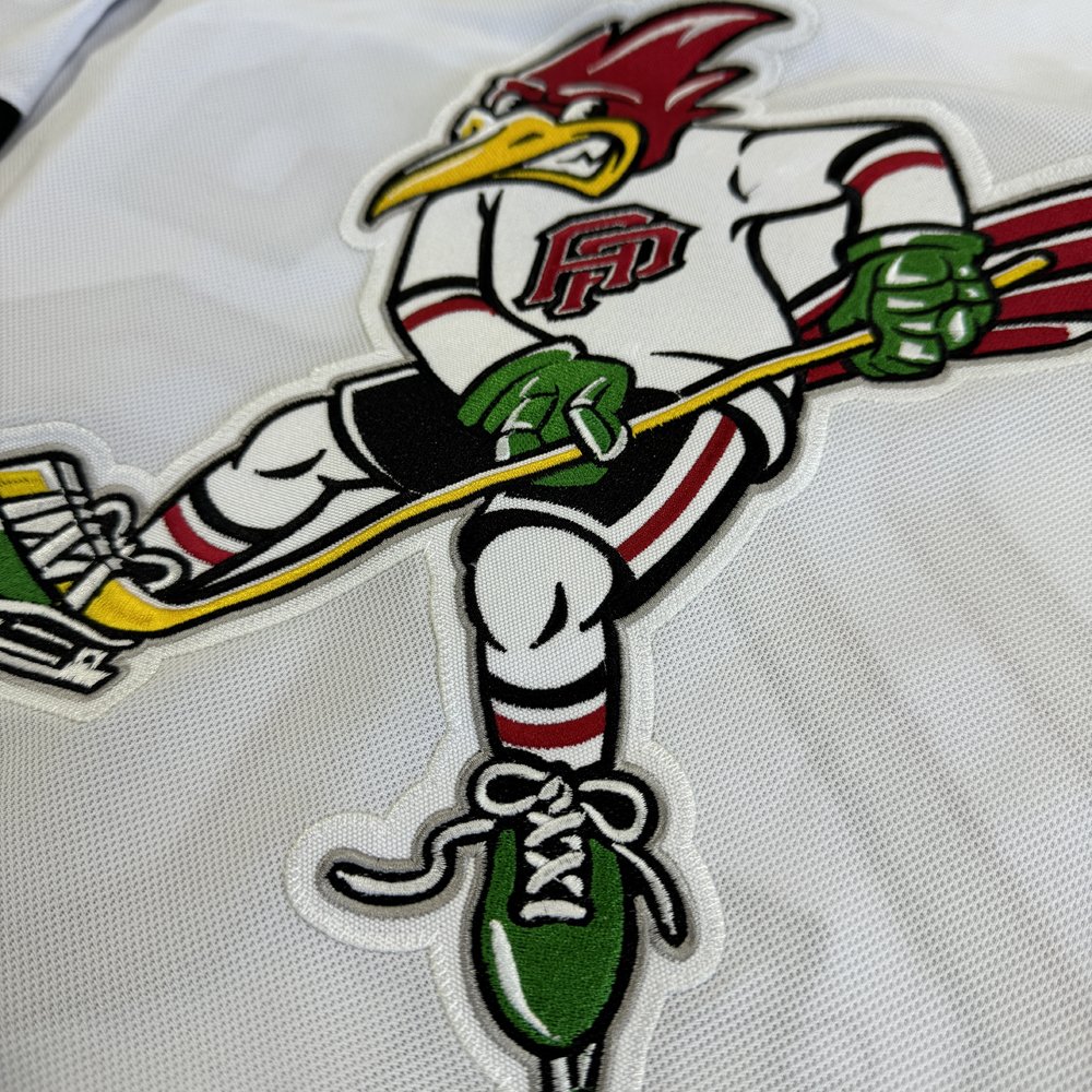 OEM Professional Polyester Customized Embroidery Tackle Twill Ice Hockey Jersey