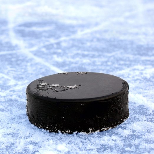 New Arrival Custom Logo Weighted Rubber Hockey Puck