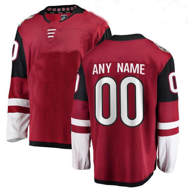 Customized polyester high quality professional team blank ice hockey jerseys