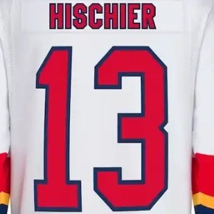 Wholesale Stitched Sports Ice Hockey Jerseys New Jersey 86 Jack Hughes 13 Nico Hischier 44 Miles Wood 30 Brodeur