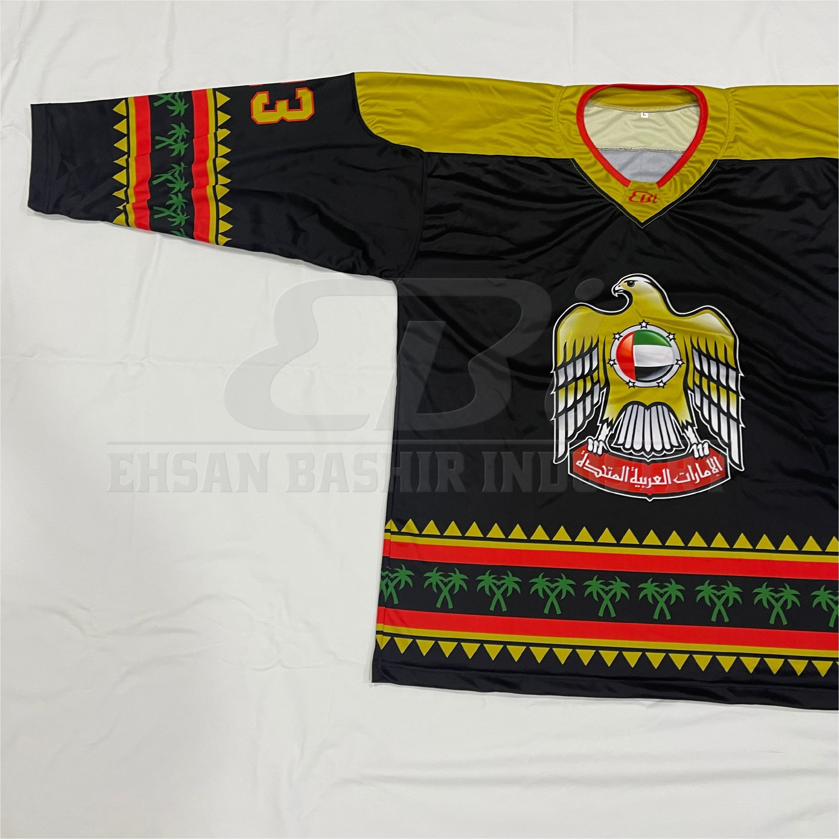 top quality Custom made sublimated ice hockey jersey custom printed ice hockey jerseys top manufacturer made in Pakistan