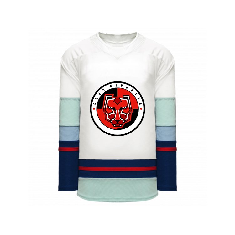 Best 100% Polyester Fabric Breathable Ice Hockey Uniform Custom Logo Oem Team Name Sublimation Ice Hockey Jerseys