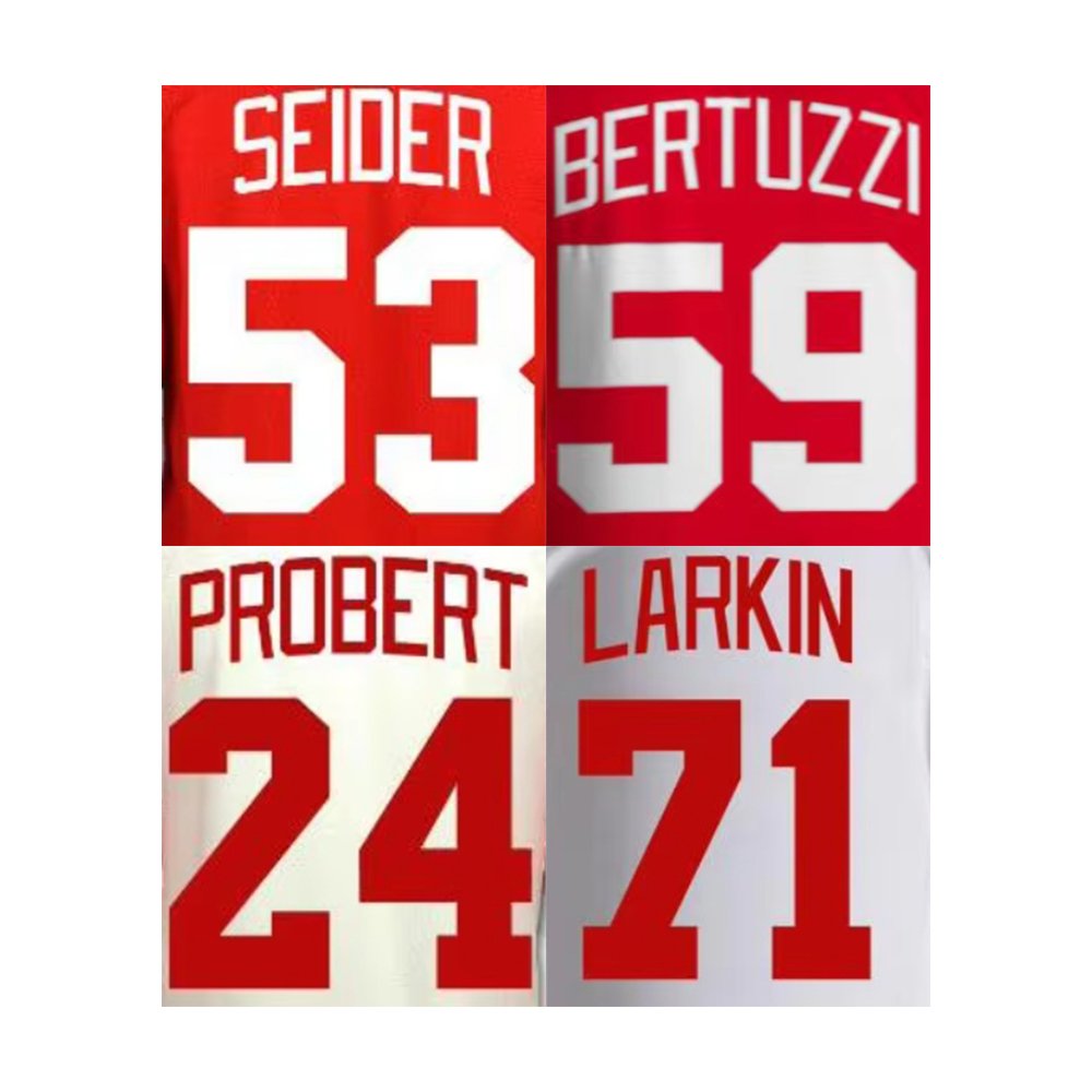 Stitched American Teams Hockey Jerseys Detroit 24 Probert 39 Mantha 53 Moritz Seider 57 Perro 59 Bertuzzi 71 Dylan Larkin