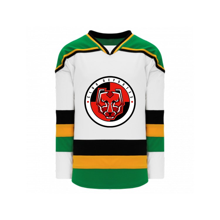 OEM Sublimated Hockey Jerseys Custom Logo Name Ice Hockey Uniforms Ice Hockey Style Jersey