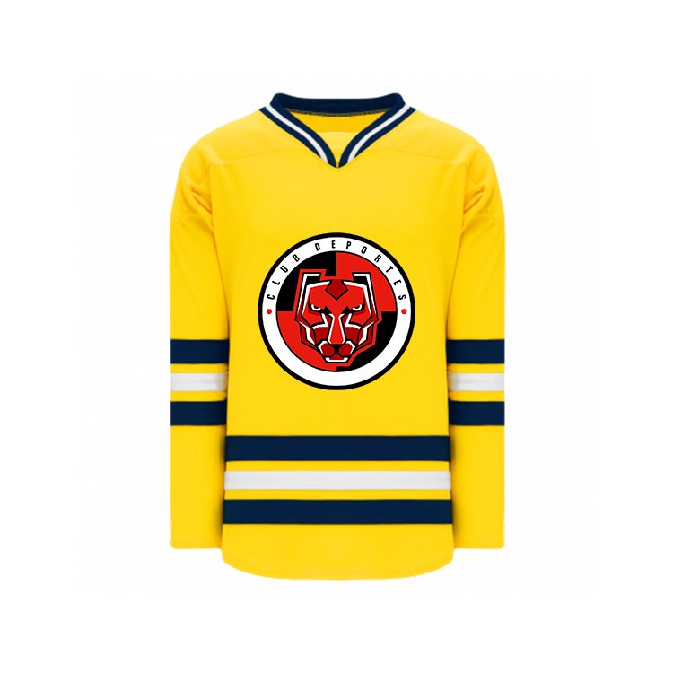 OEM Sublimated Hockey Jerseys Custom Logo Name Ice Hockey Uniforms Ice Hockey Style Jersey