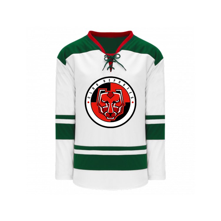 OEM Sublimated Hockey Jerseys Custom Logo Name Ice Hockey Uniforms Ice Hockey Style Jersey