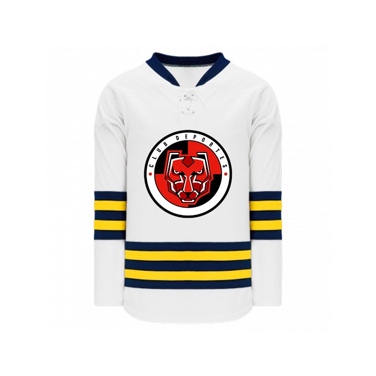 OEM Sublimated Hockey Jerseys Custom Logo Name Ice Hockey Uniforms Ice Hockey Style Jersey