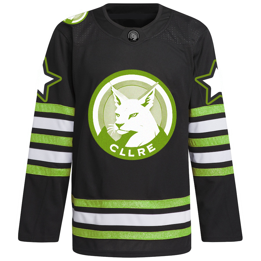 wholesale custom Embroidery applique ice hockey jersey 100% polyester hockey jersey
