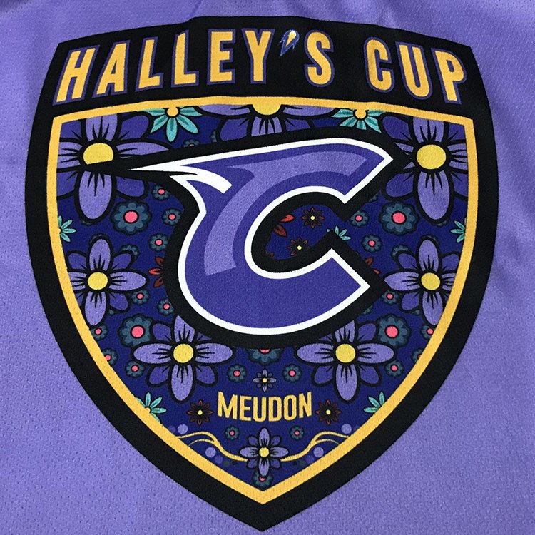 Hot Sale Custom Logo Number Ice Hockey Jersey Retro Quick Dry Breathable Sports Ice Hockey Jersey
