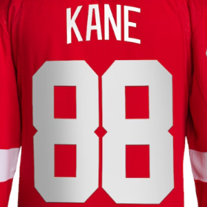 Top Stitched Ice Hockey Jerseys Detroit 71 Dylan Larkin 88 Patrick Kane 93 Alex DeBrincat 53 Moritz Seider 19 Yzerman 9 Howe