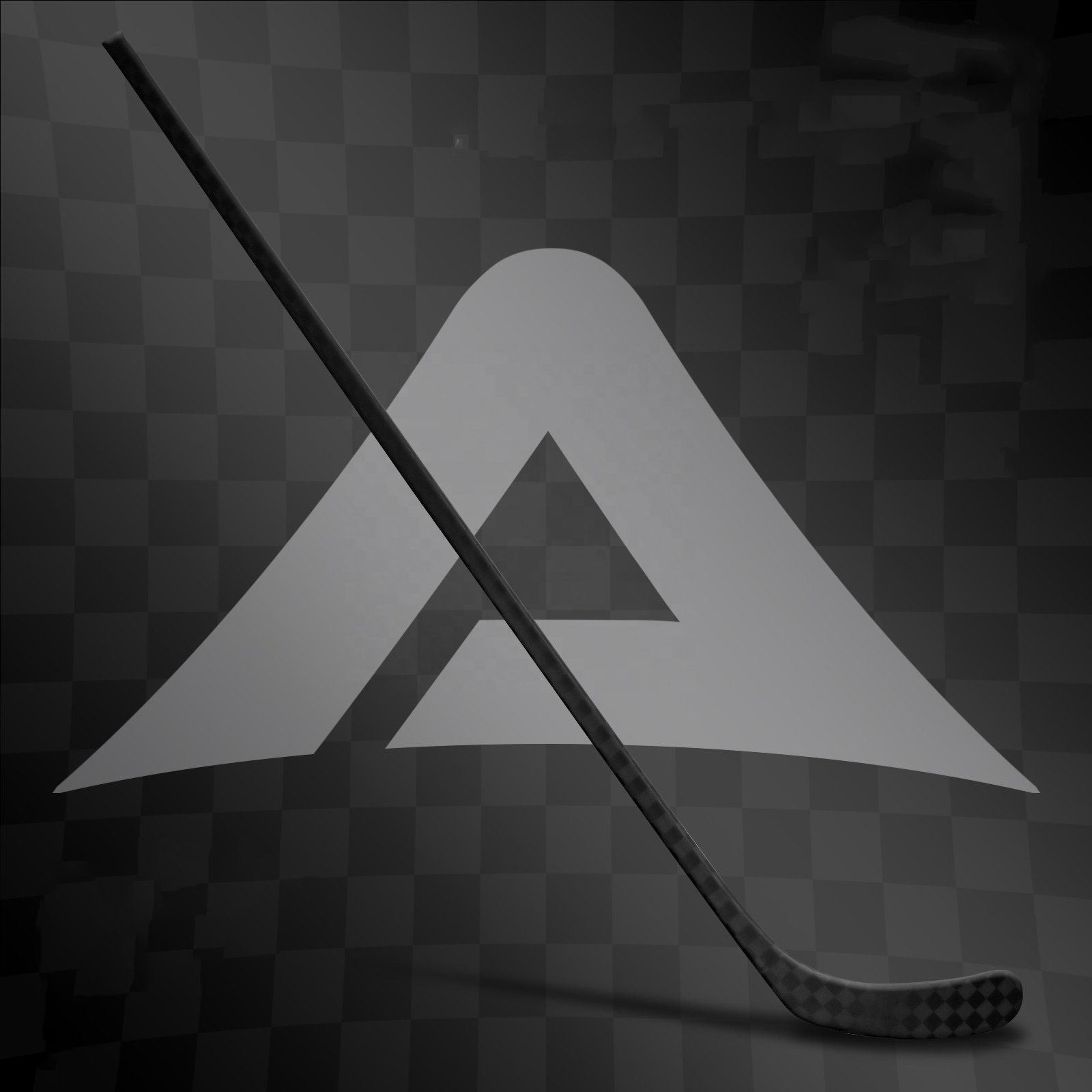 China Factory Ice Hockey Stick Indoor Outdoor Equipment Hockey Accessories for Training Senior Youth Adult
