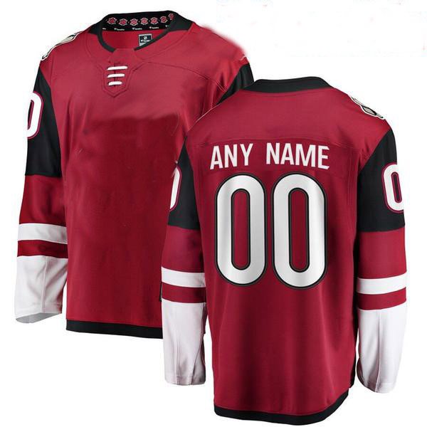 Customized polyester high quality professional team blank ice hockey jerseys