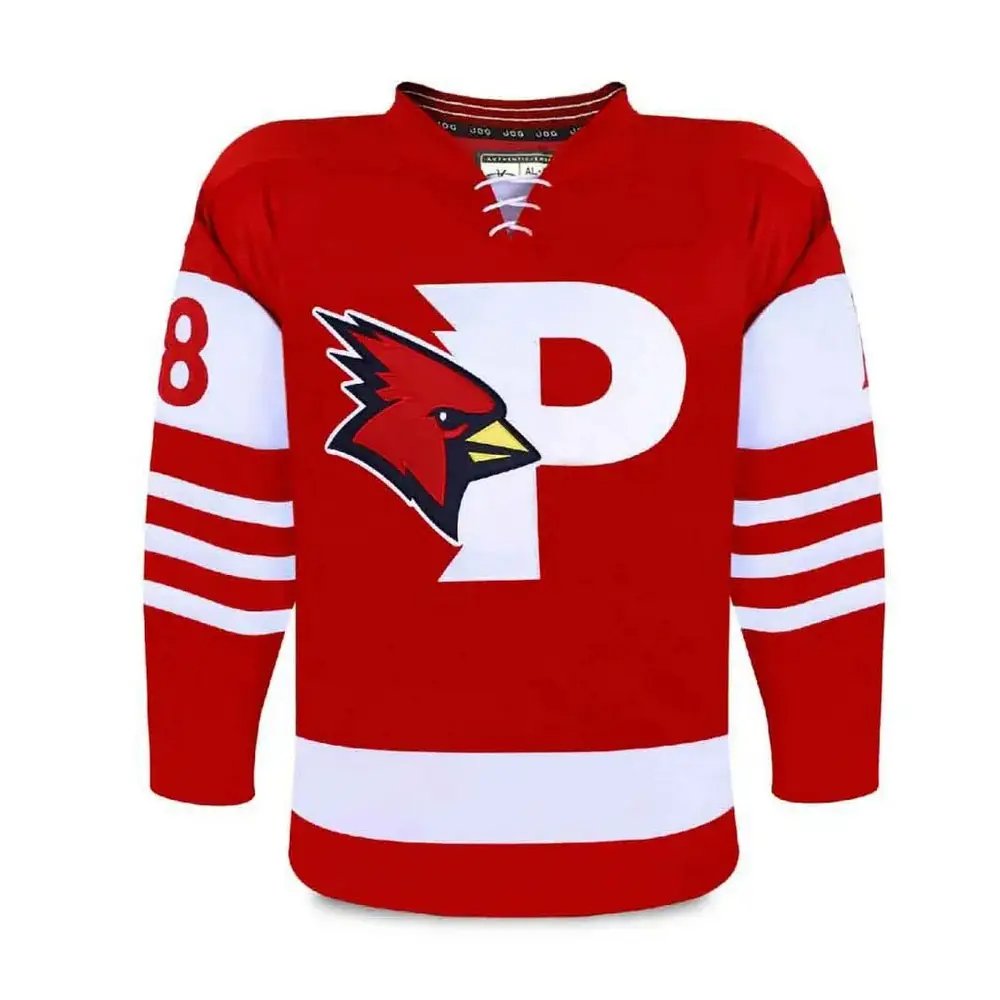 Customized New Design Cheep Ice Hockey Jersey Sports Team Custom Made Logo And Design Sublimation Ice Hockey Jersey