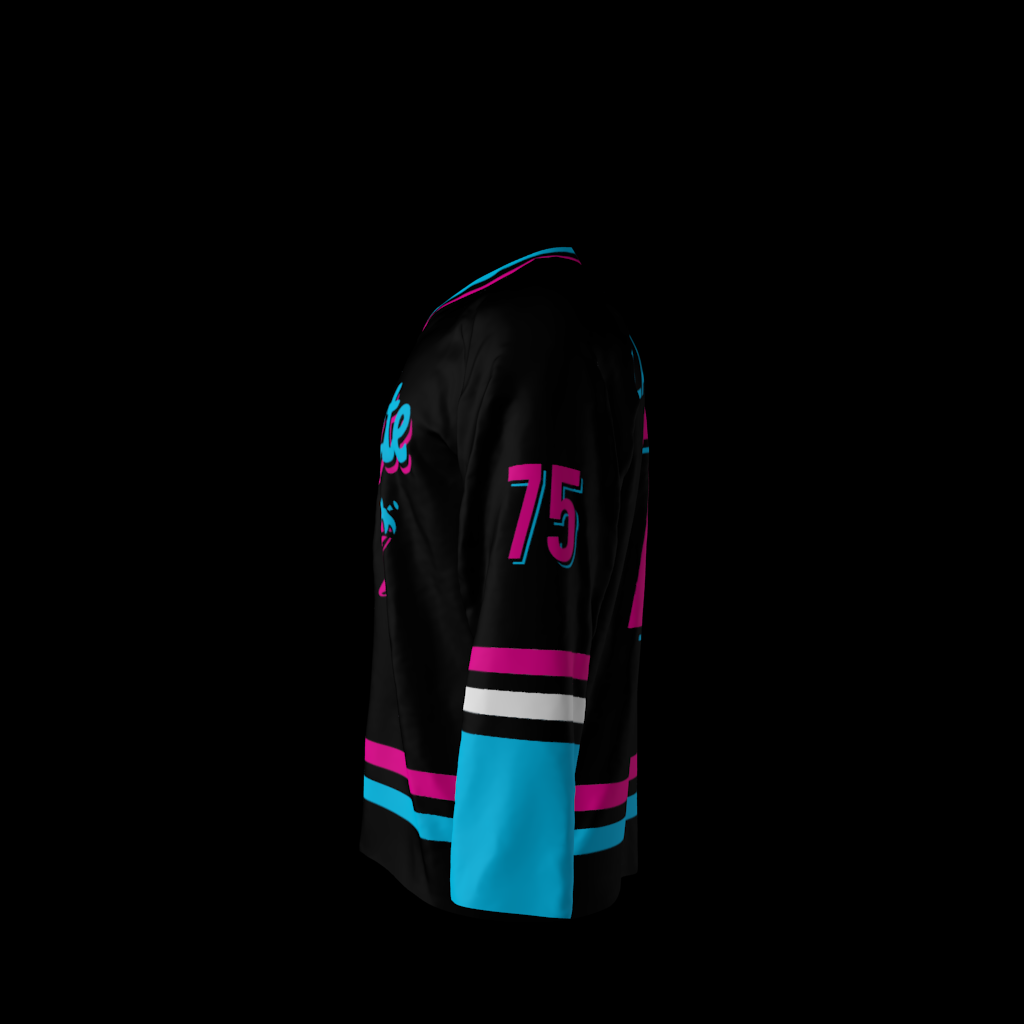 Custom V-Neck Hockey Jersey Personalized Stitched Printed Name Number Logo