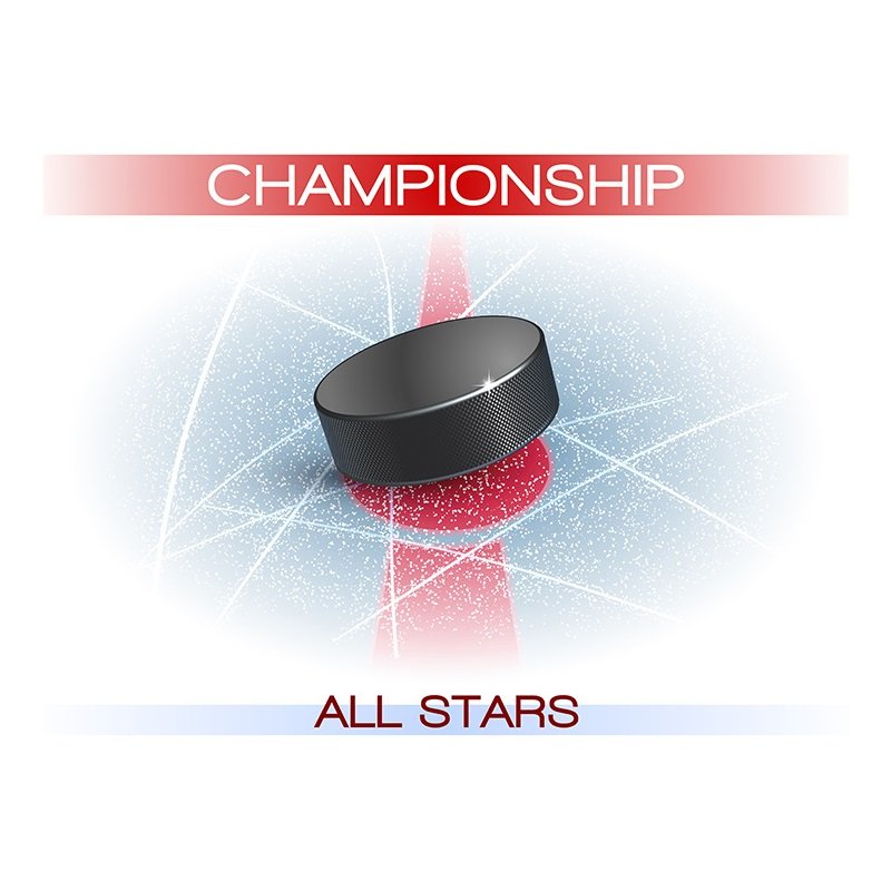 Custom Rubber Ice Hockey Pucks Hockey Pie With Logo Printed Professional Official Size Rubber Ice Hockey Puck Custom Logo