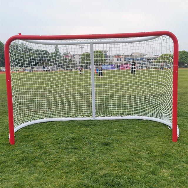 OEM factory High quality standard ice hockey goal mini hockey goal net FD701A