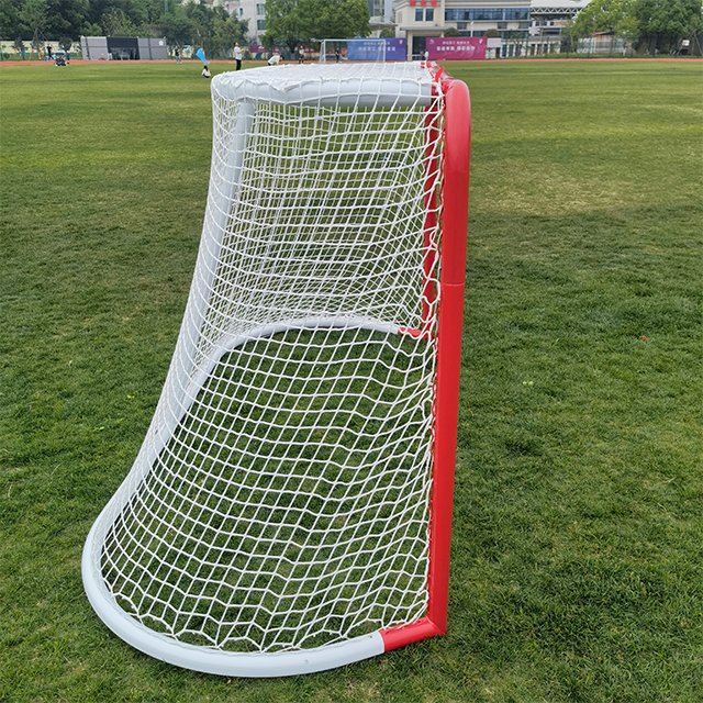 OEM factory High quality standard ice hockey goal mini hockey goal net FD701A