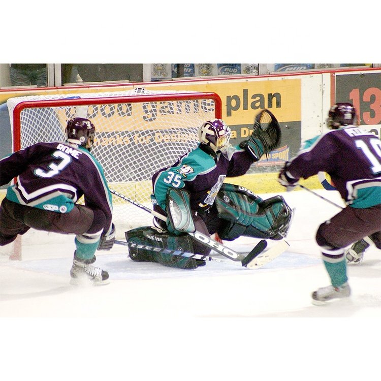 Knotless ice hockey and field hockey plastic net sport ball net