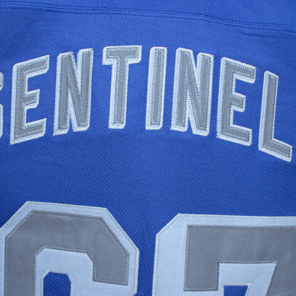 BETHERIVAL custom sublimated goalie cut hockey jersey made in china