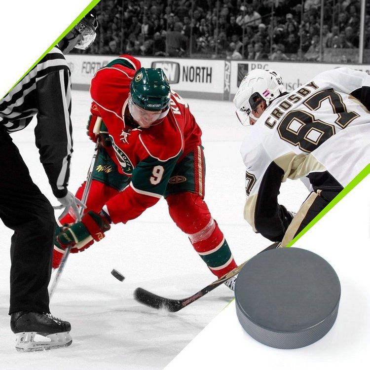 High Quality Print Custom Own Brand Logo Custom Colors Rubber Ice Hockey Puck Ball
