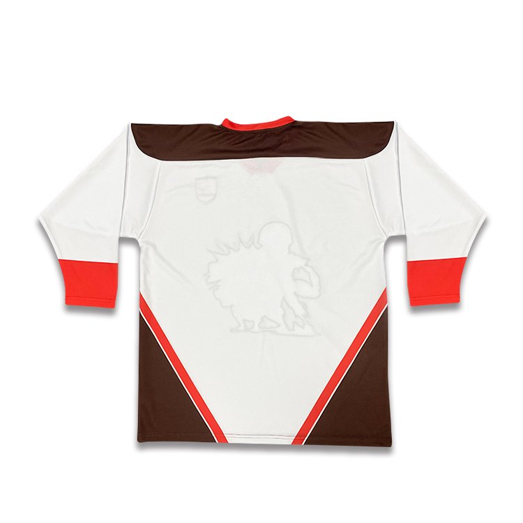 OEM Custom Unisex Ice Hockey Jersey with Team Logo 100% Polyester Blank Design Uniform Style Sublimation Printing Technique
