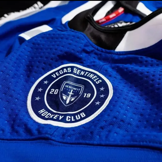 OEM Sublimated Unisex Ice Hockey Jersey Custom Logo and Design Polyester Ice Hockey Uniform with Custom Team Name