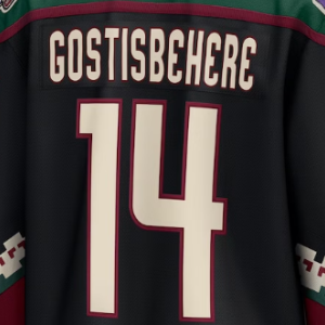 Wholesale Stitched Sports Ice Hockey Jerseys Arizona 9 Clayton Keller Schmaltz Gostisbehere 97 Roenick Ekman-larsson Kessel