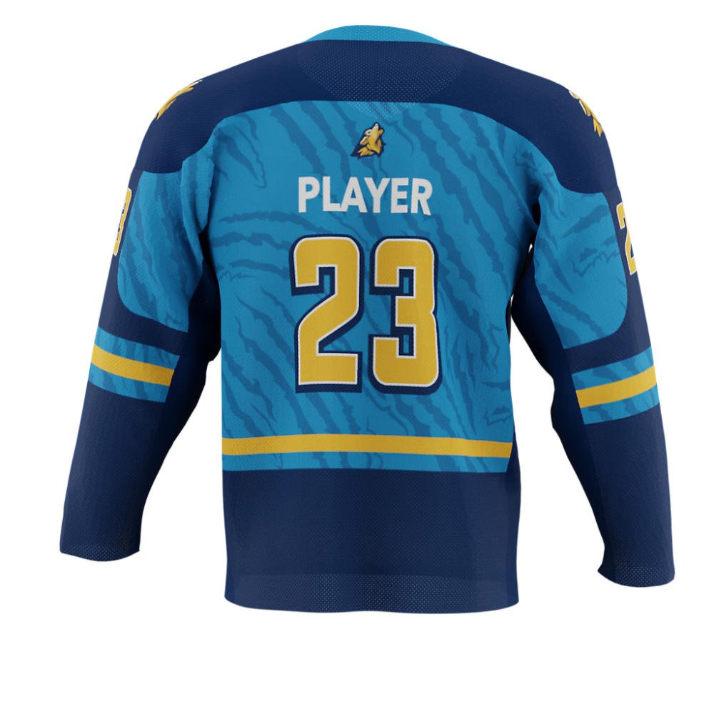 Custom sports wear 100% polyester hockey jersey team practice embroidery ice hockey jersey 5xl