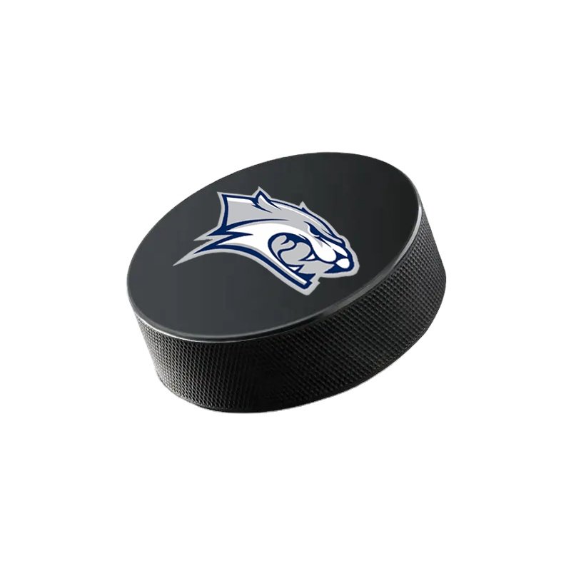 Rubber Standard Official Ice Hockey Puck Custom Ice Hockey Puck