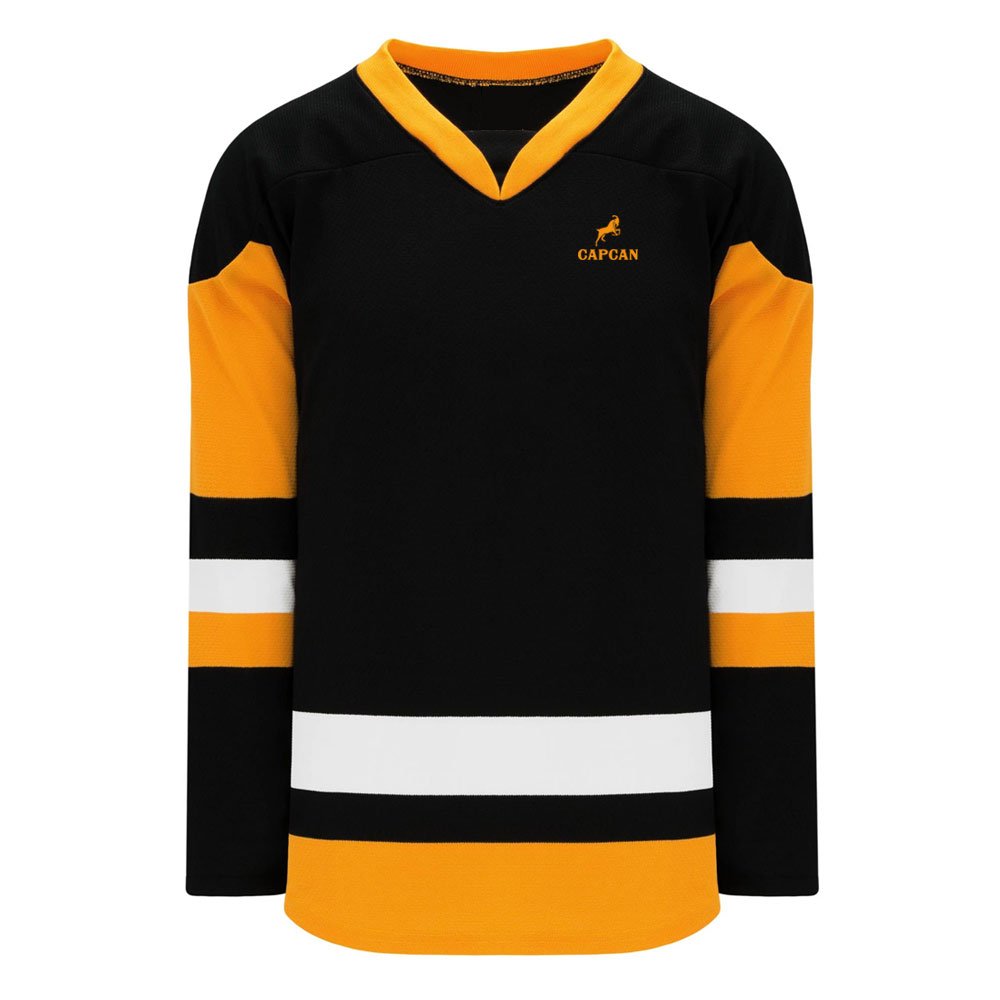 Custom made plain practice team reversible ice hockey jerseys made in pakistan