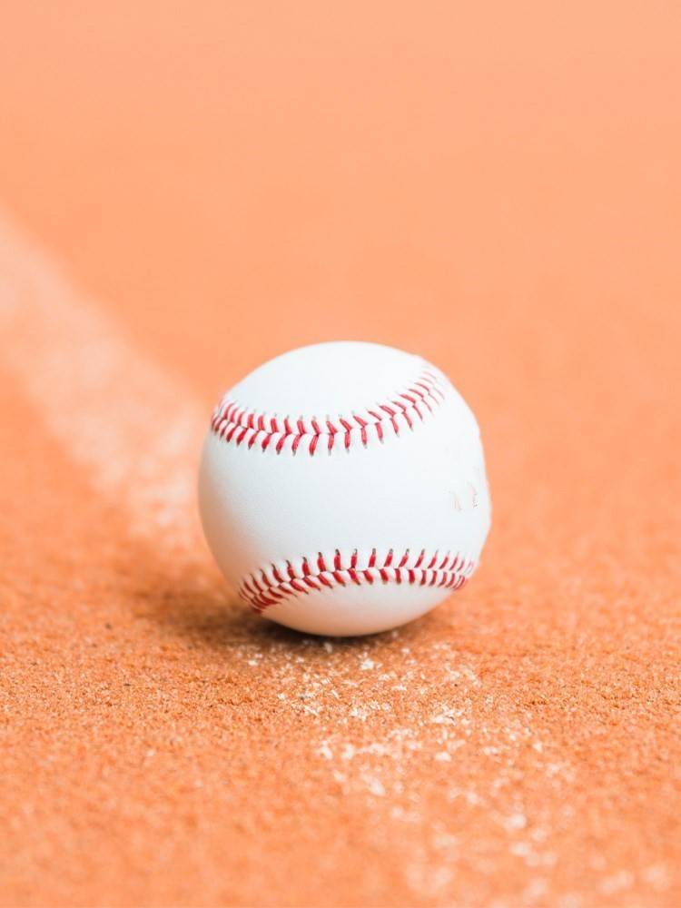 Flood Ball Primary School Student Game Training Throwing the Standard Games Soft Baseball Children 10 -inch Barball
