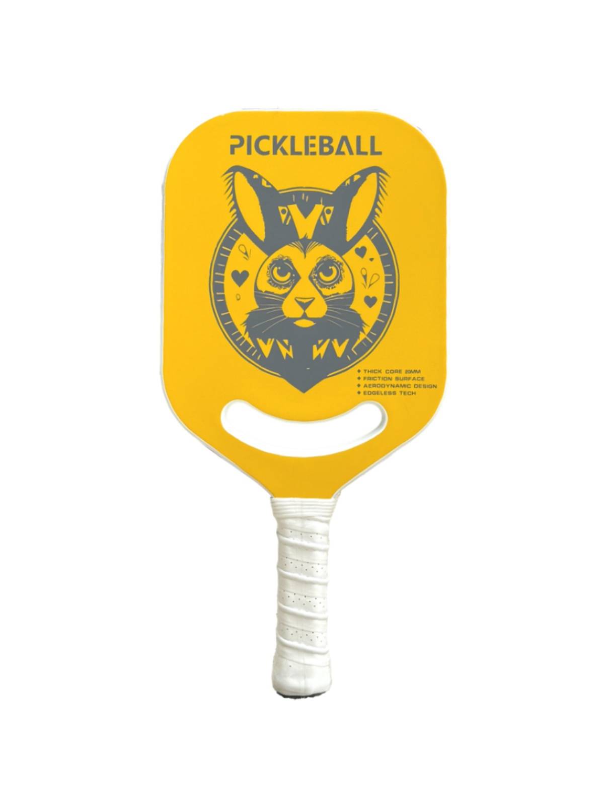 Pickleball Board Board Panel T700 Carbon Fiber Professional Sports Grade Pike Ball racket set