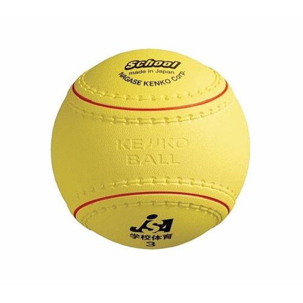 Japan Direct Email set Nagase Kenko School Sports Flood Kentei No. 3 Flood KS12PUR
