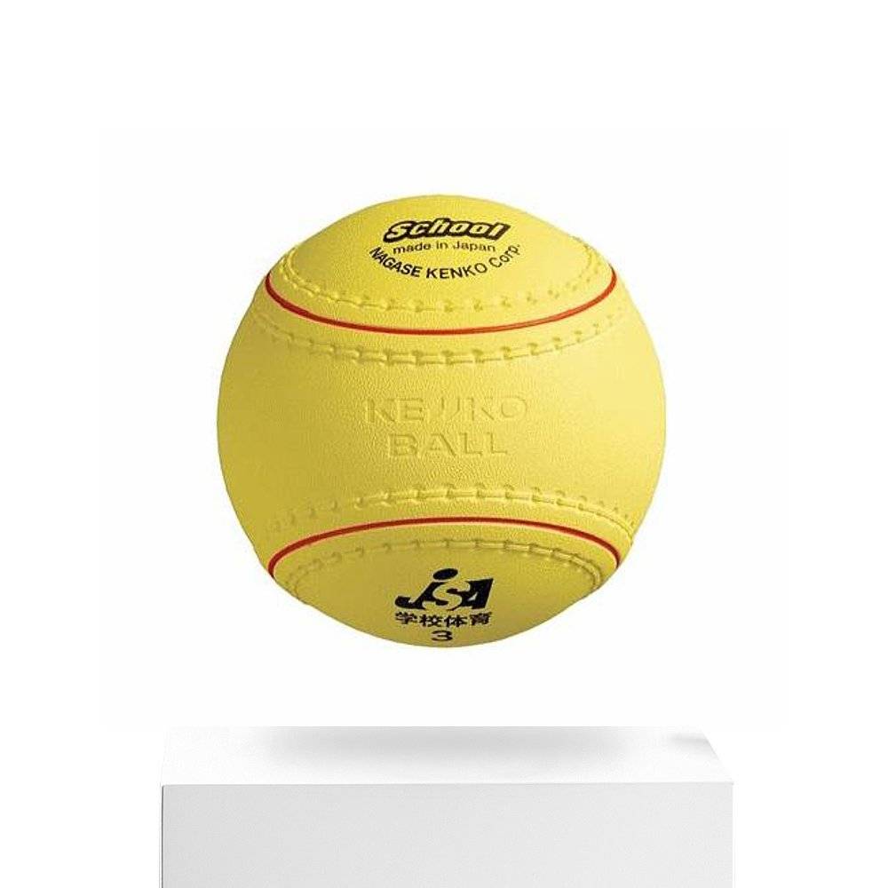 Japan Direct Email set Nagase Kenko School Sports Flood Kentei No. 3 Flood KS12PUR