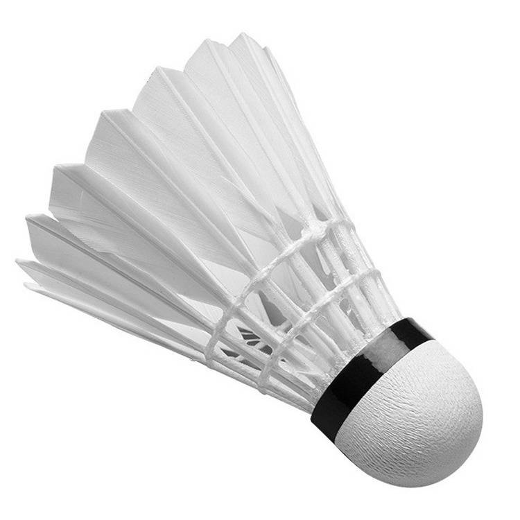 Genuine Picker Badminton Flagship Store Patient Stable ZS Illustration Version Goosemade indoor and outdoor windproof competition training