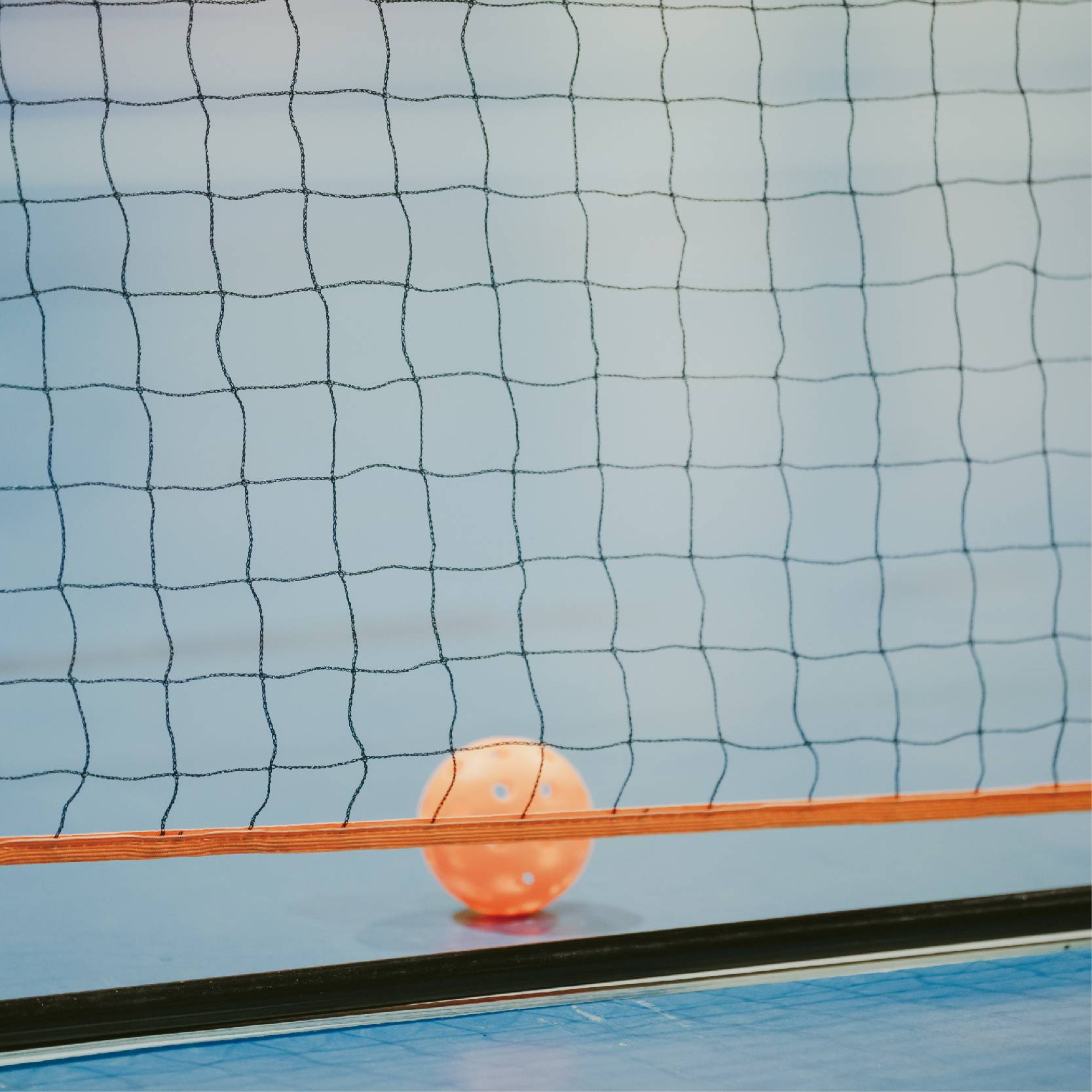 NESIA Pickleball 3m professional competition network