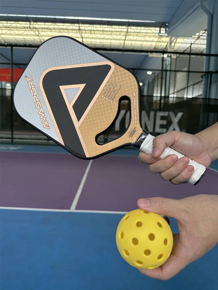 Ames PickleballpaddlePike 3K Carbon Fibres Game USAPA certification