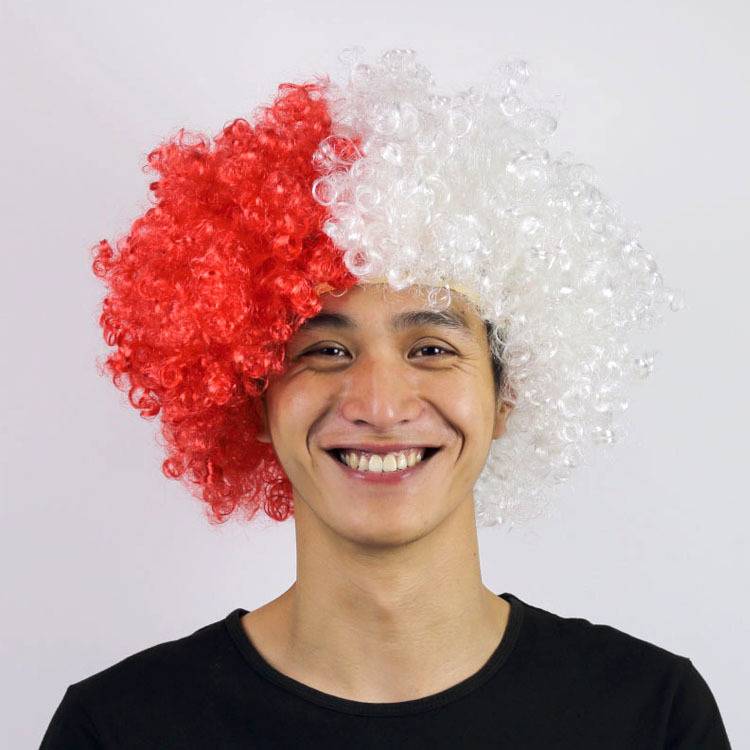 Swiss fans wigs