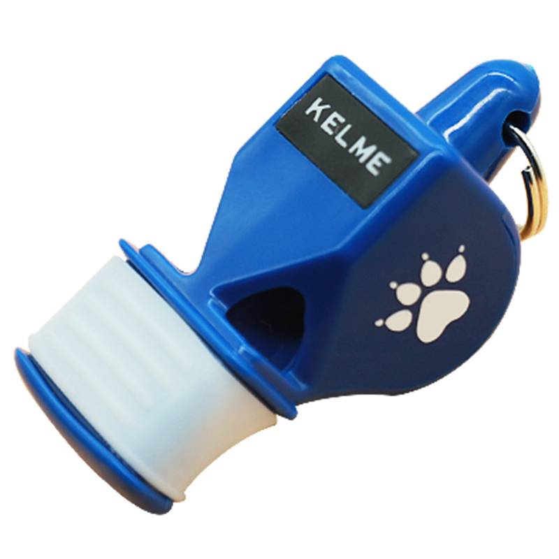 Blue dolphin