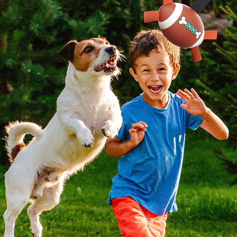 Pet Products New Products Amazon Explosion PU Material Rugby Multifunctional Puzzle Practice Rope Dog Toy Ball
