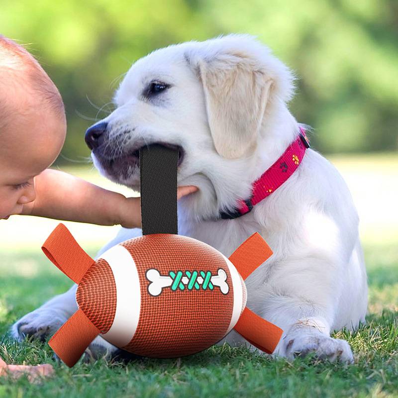 Pet Products New Products Amazon Explosion PU Material Rugby Multifunctional Puzzle Practice Rope Dog Toy Ball
