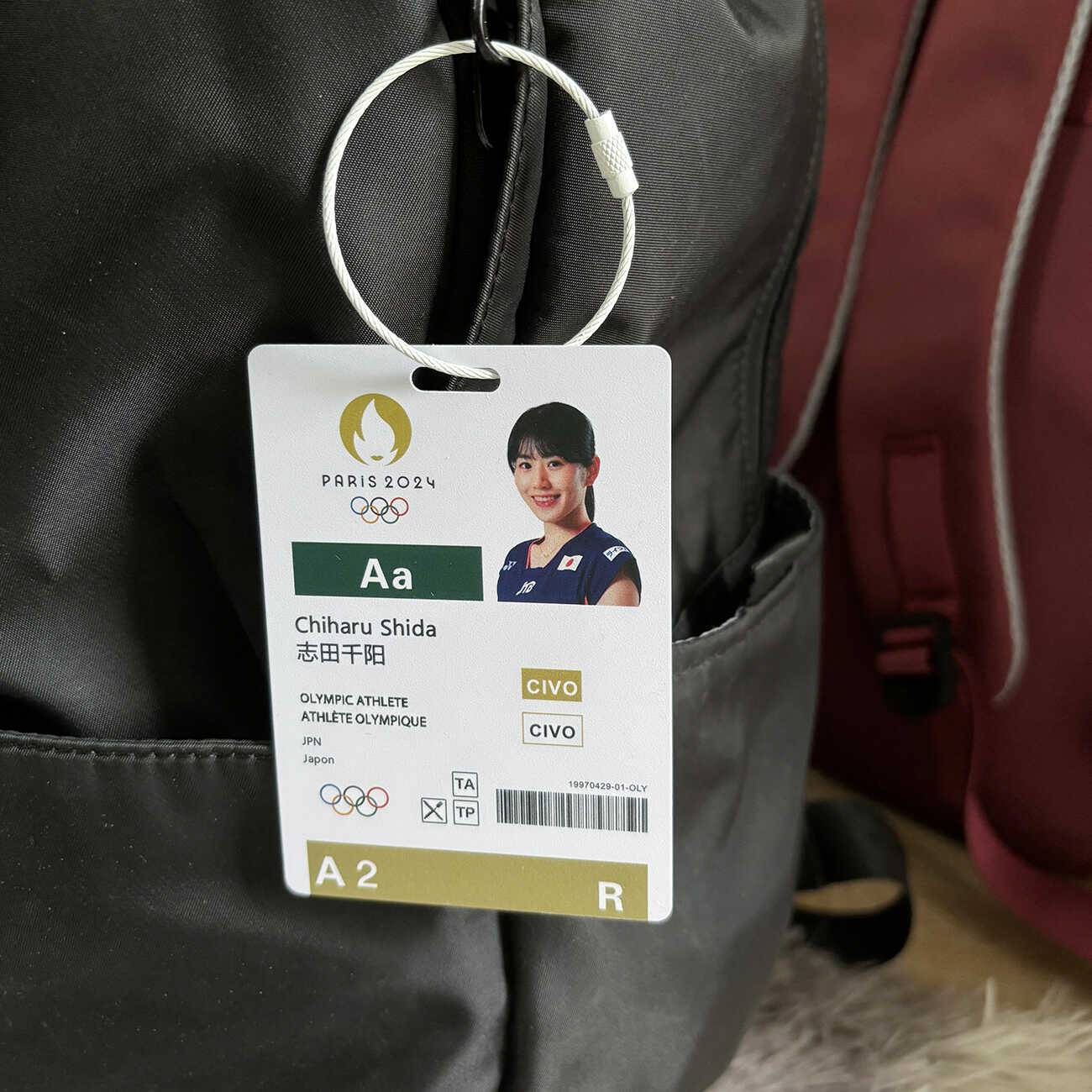 Lin Dan Tao Tianxian Dou Badminton Star Star Card Backpack Pendant Decoration Paris player Pass Pass
